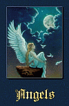 This is an online book all about angels. It has information on angels, including angels mentioned in the Bible and the Koran, angels vs. spirit guides, and the Celestial Hierarchy. 

There are angel graphics, angel songs, angel-grams, links to other angel pages, a place to buy angel items, and personal dedications to the special angels we have known.

If you would like to add a photo of your personal angel, please contact starlight@heartnsoul.com
