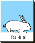 Click here to see ASCII Artwork - Rabbits