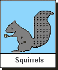 Click here to see ASCII Artwork - Squirrels